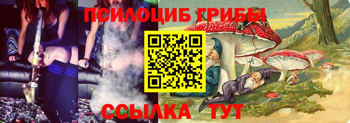 Галлюциногенные грибы Psilocybine cubensis Орёл