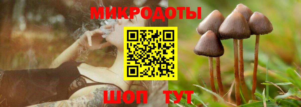 Псилоцибиновые грибы Psilocybe  Вход с VPN  Орёл 